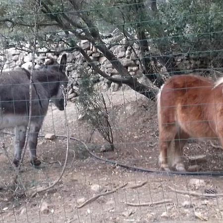 El Mangranar 3* Adzaneta